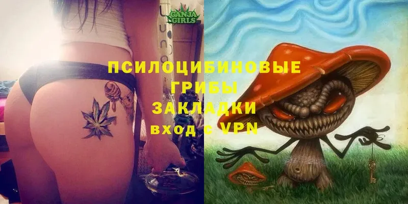 закладка  Когалым  Псилоцибиновые грибы Magic Shrooms 